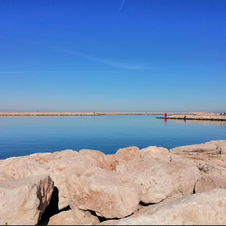 Pinkflamingo ゲストハウス