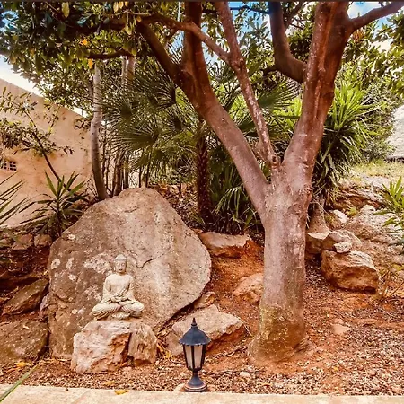 Pinkflamingo ゲストハウス デニア