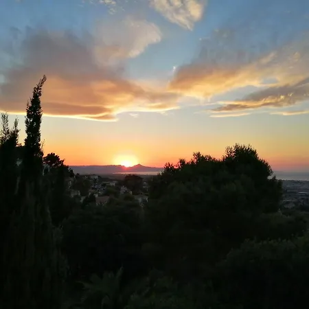 Gasthuis Pinkflamingo