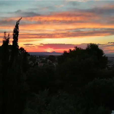 Gasthuis Pinkflamingo Dénia