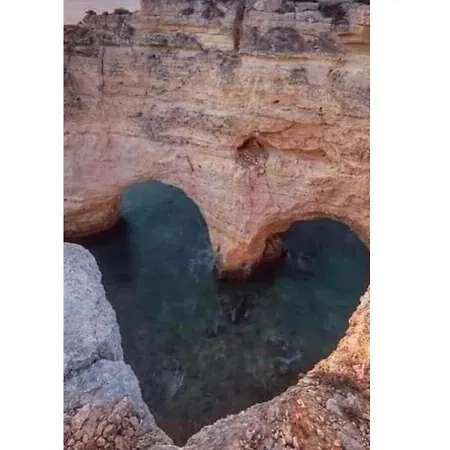 Pinkflamingo Gasthuis