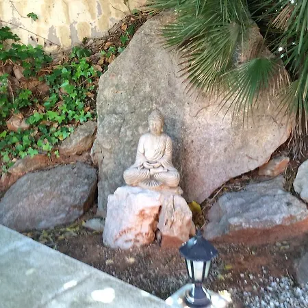 Pinkflamingo Gasthuis