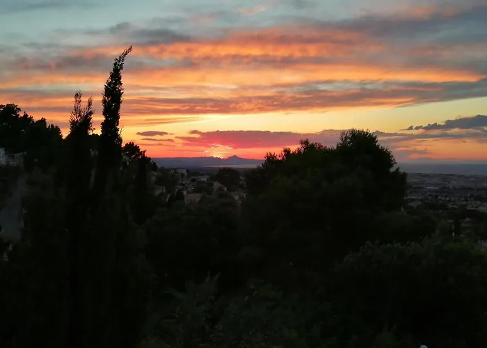 Gæstehus Pinkflamingo Dénia